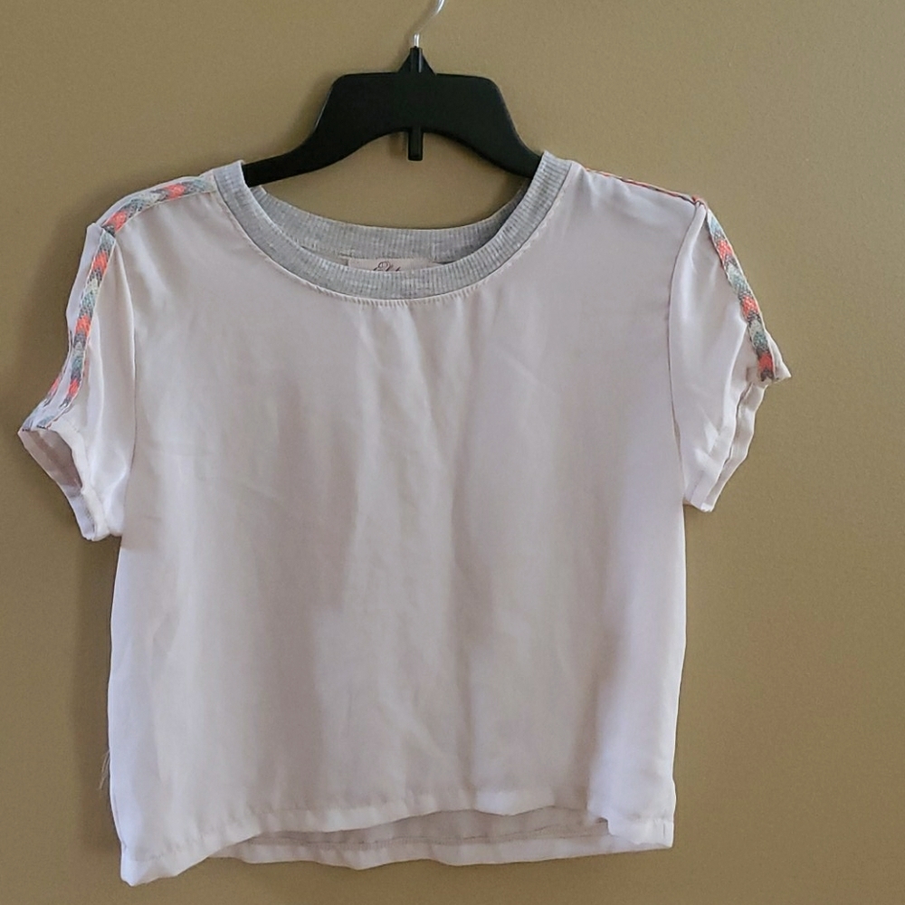 Sheer pink crop top